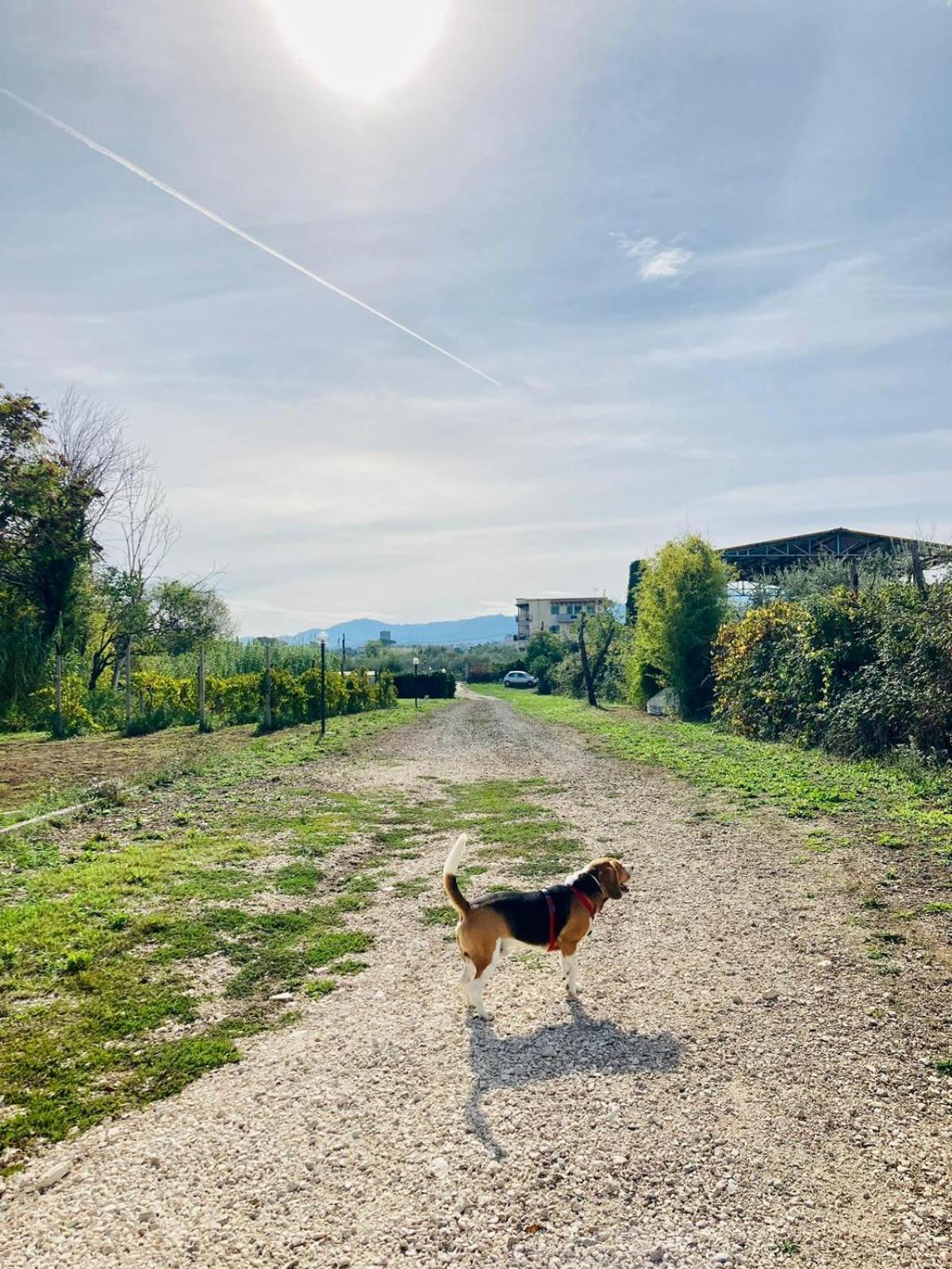 Villa Bubu, Appartamento Country-Chic Řím Exteriér fotografie