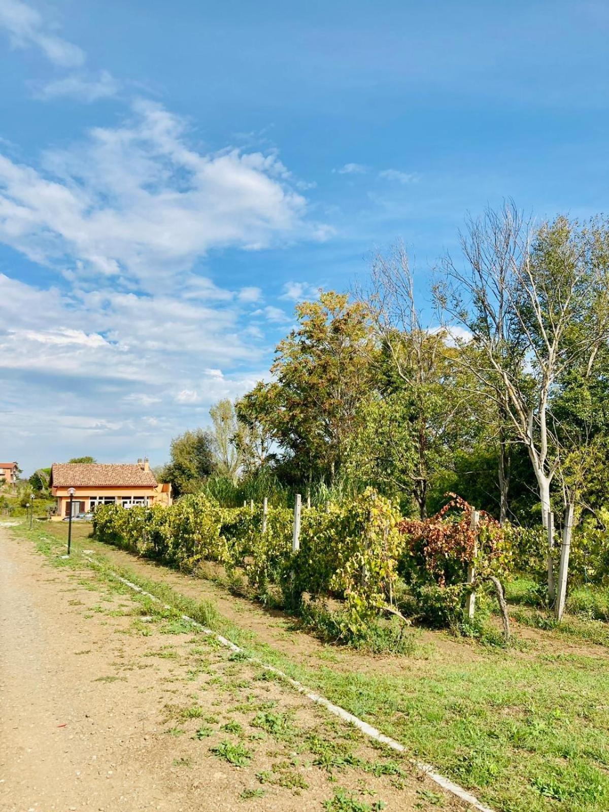 Villa Bubu, Appartamento Country-Chic Řím Exteriér fotografie