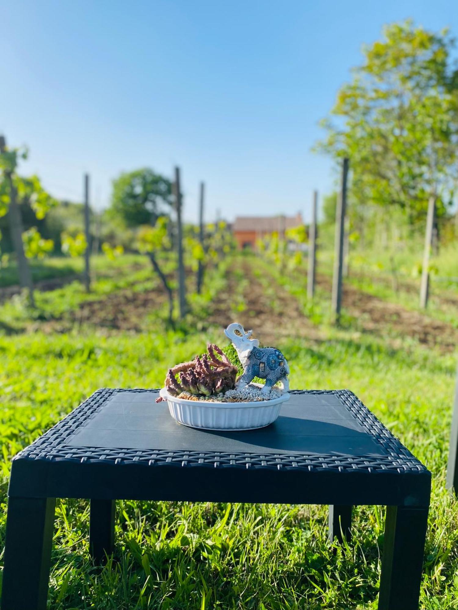 Villa Bubu, Appartamento Country-Chic Řím Exteriér fotografie